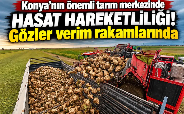 Konya’nın önemli tarım merkezinde hasat hareketliliği! Gözler verim rakamlarında
