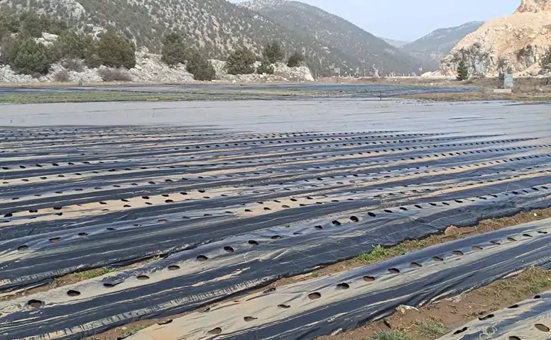 Konya’da tarım arazilerini su bastı! İl Müdürü bölgede