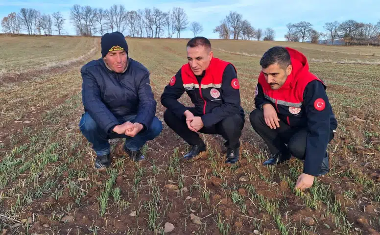 Konya’da hububat çıkışları nasıl? İl Müdürü inceledi