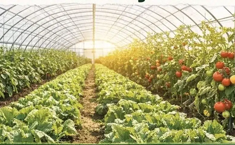 Konya’da 5 mahalleye sera kurulum desteği verilecek