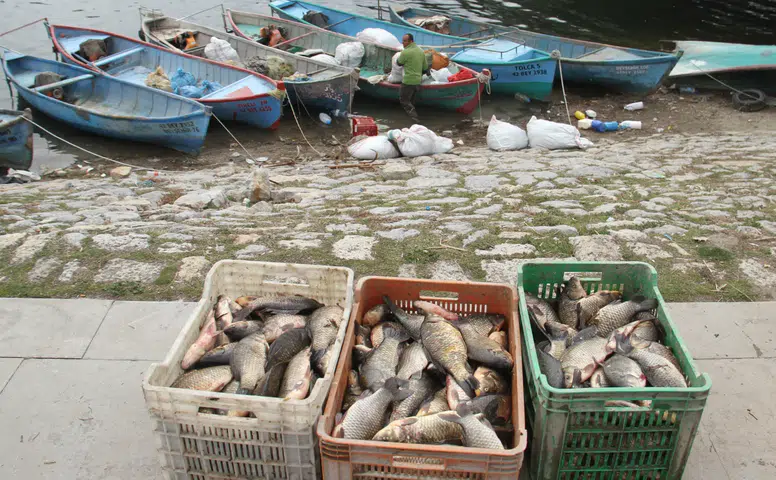 Konya Beyşehir Gölü’ndeki balıkçılar dikkat! Bu tarihten itibaren avlanmak yasak
