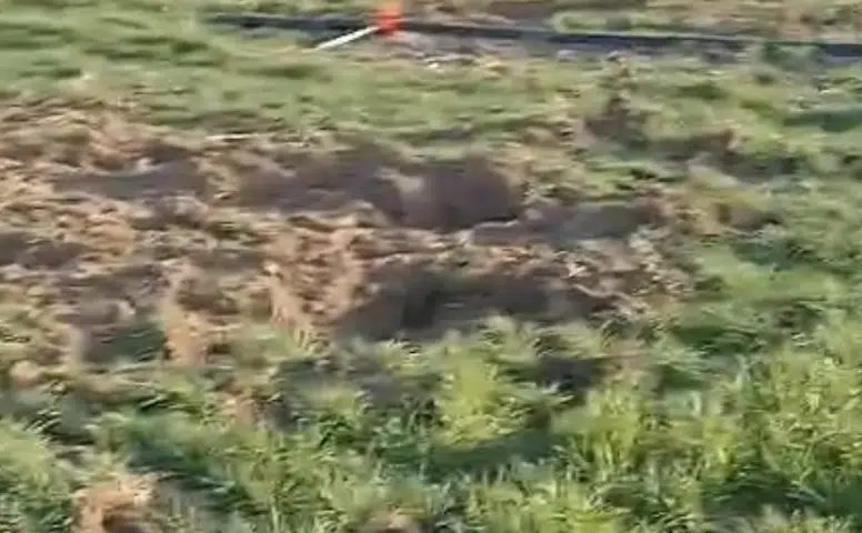 Konya Ovasında tehdid büyüyor