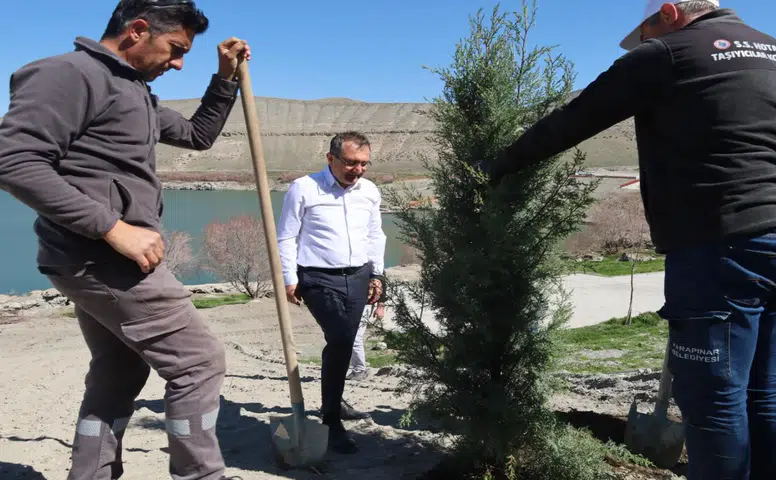Konya'da yeşil hamle! Acıgöl 500 yeni fidanla canlandı