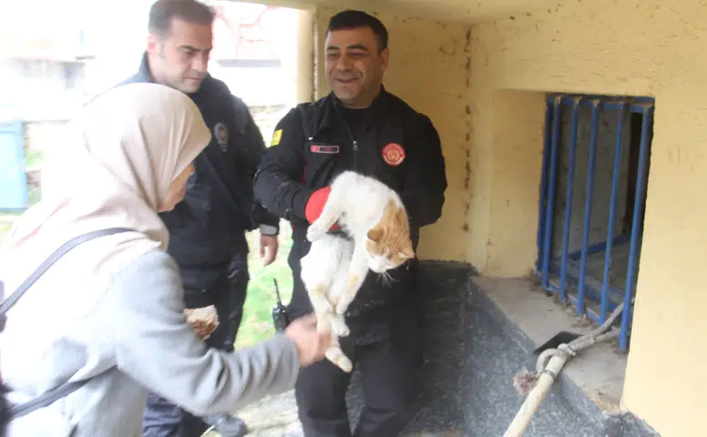 Konya'da açlıktan bitkin düşen kedi hayata döndürüldü