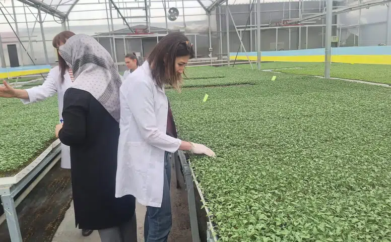 Konya’da bu bitkilerin pasaportu var!