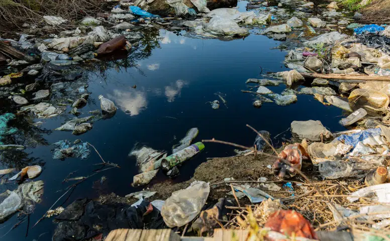 Konya’dan bilimsel uyarı: Mikroplastik detoks iddialarına kanmayın!