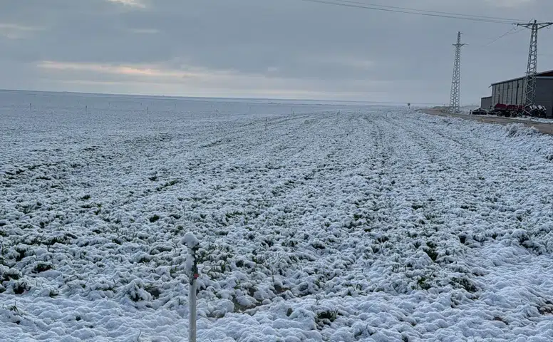 Konya Ovası büyük tehlike atlattı! Don hasarı bekleniyor mu?