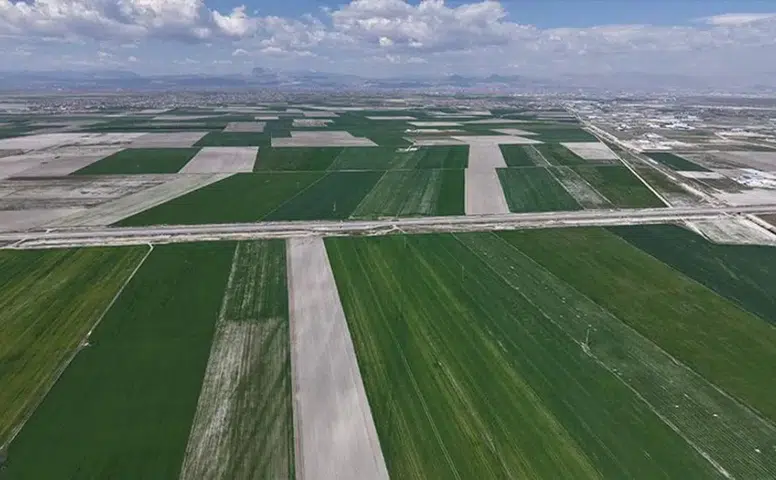 Rekolte artışı bekleniyor! Konya Ovası’nda yağışlar yüz güldürdü
