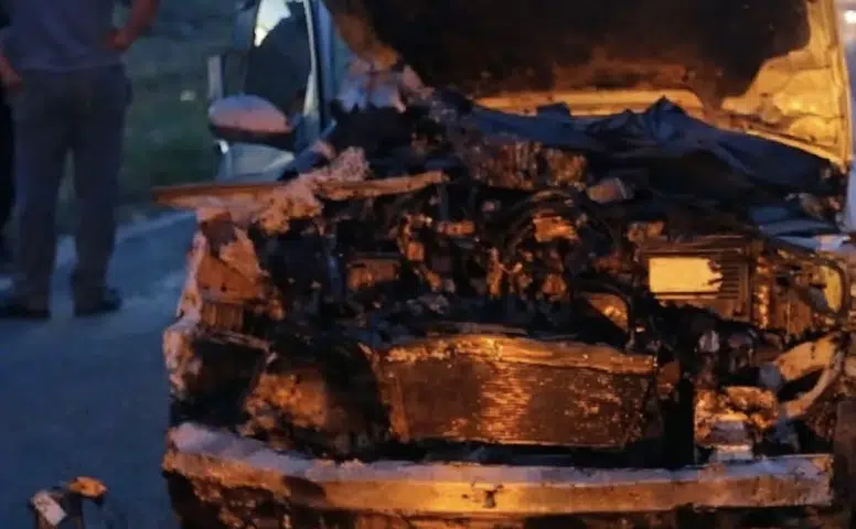 Konya’da otomobil sürüye çarptı! Çok sayıda hayvan telef oldu