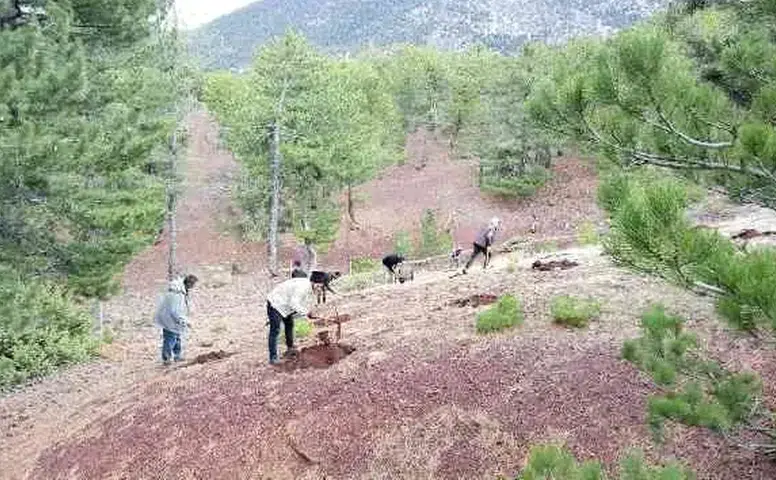 Konyalılar bu habere üzülecek! 11 ilçede o bölgelere girişler sınırlandırıldı