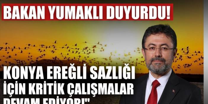 Bakan Yumaklı duyurdu! Konya Ereğli sazlığı için kritik çalışmalar devam ediyor!