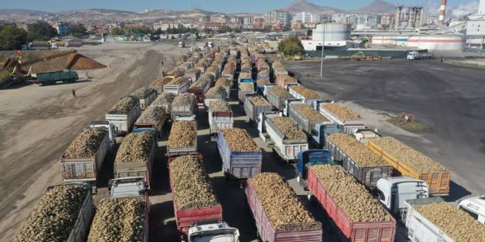 Konya Şeker’den çiftçilere dev ödeme! 6,2 milyar TL hesaplara yatıyor