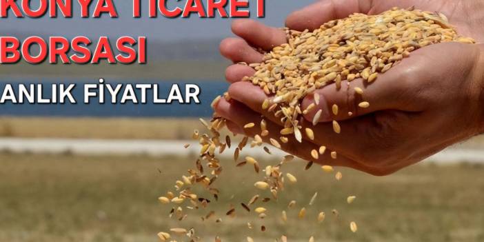 Konya Ticaret Borsası anlık fiyatlar (19.02.2025)