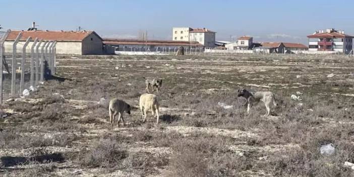 Konya'daki doktordan kan donduran sözler! 