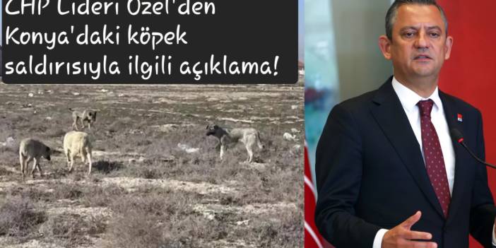 CHP Lideri Özel'den Konya'daki köpek saldırısıyla ilgili açıklama! Belediyeye bakın ne dedi...