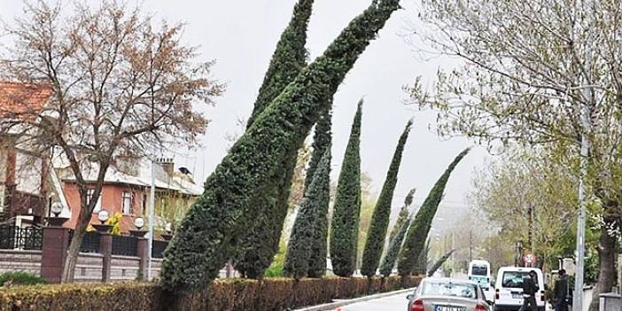 Konyalılar dikkat! Meterolojiden yarın için uyarı geldi