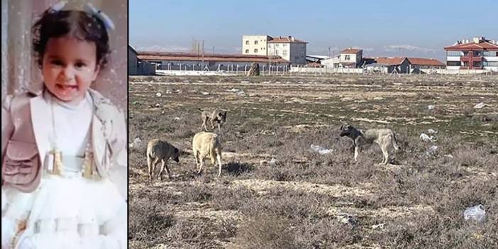 Konya’da köpeklerin öldürdüğü bebeğin otopsi sonucu açıklandı! Cinsel saldırı var mı?