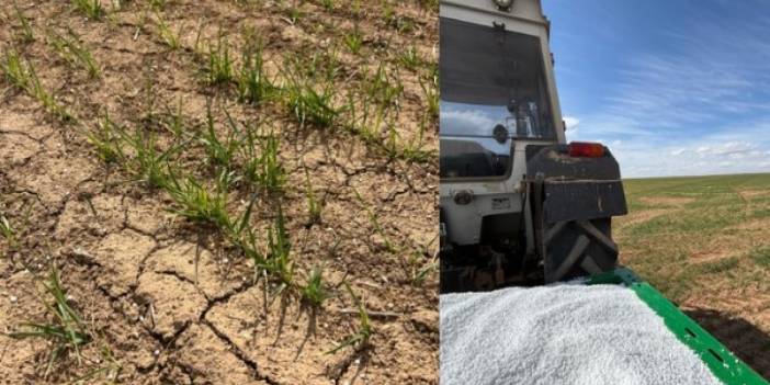 Gübre atan çiftçiler için kar müjdesi!