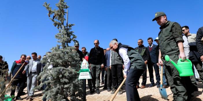 Konya'da Yeşil Bir Gelecek İçin Fidanlar Toprakla Buluştu