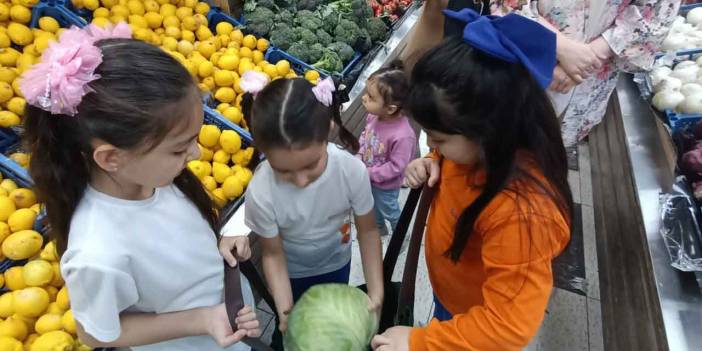 Konya'da Çevre Dostu Proje: 