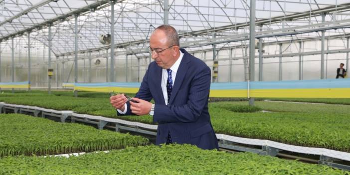 Konya’da ilk ve tek! Üreticiler fide satışları başladı