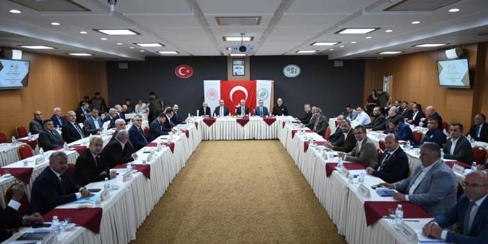 Tehlike Bitiyor Mu? Konya'da Sahipsiz Hayvanlara Neşter!