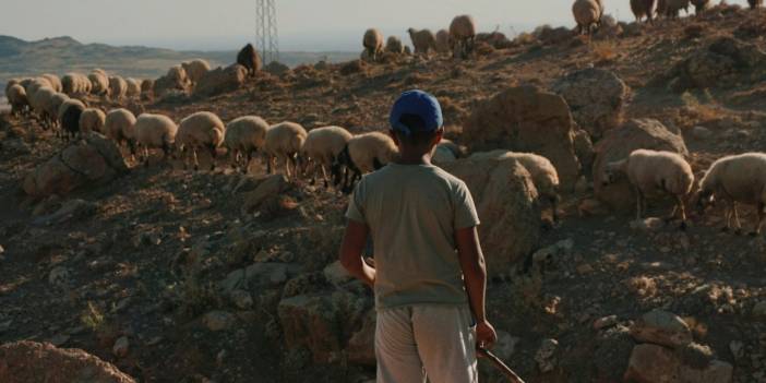 Konya’da Ekili Arazide Hayvan Otlatma Kavgası: 16 Yaşındaki Genç Bıçaklandı
