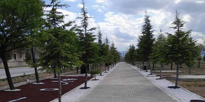 Konya'ya Yeni Nefes! Mesire Alanında Sona Gelindi