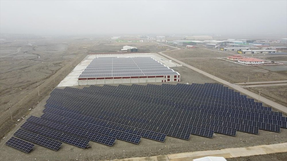 Atık orman ürünleri orada paraya dönüşüyor!