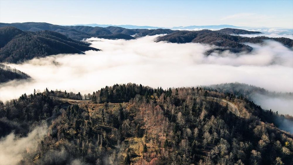 Doğa harikası sis bulutuyla bütünleşti! Eşsiz manzaraya büründü!