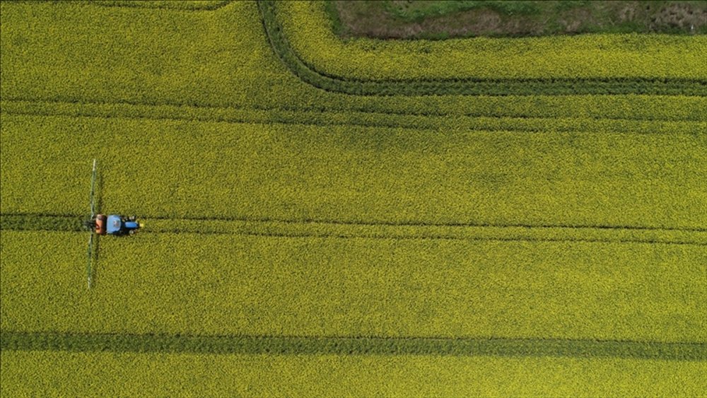 Türkiye'nin dünyadaki başarısı! İlk 4'e girdi...