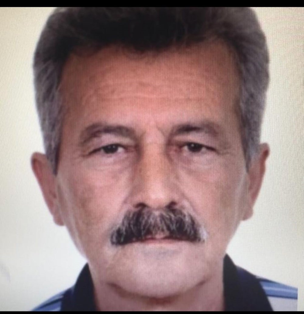 Çınar toplamak için gitti! Bir daha geri dönmedi...