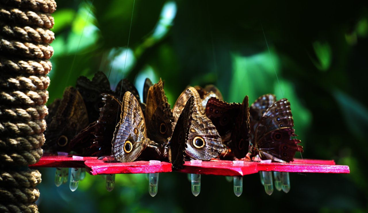 aw231332-04.jpg