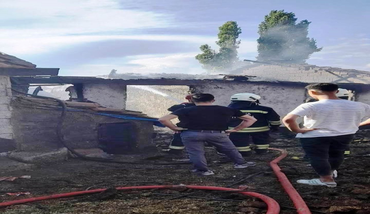 aw241101-04-001.jpg