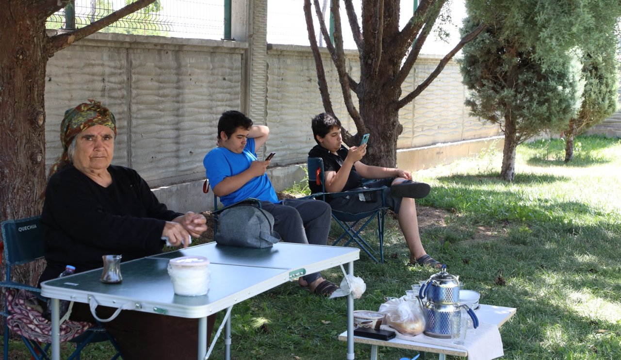 karavan-park-3.jpg