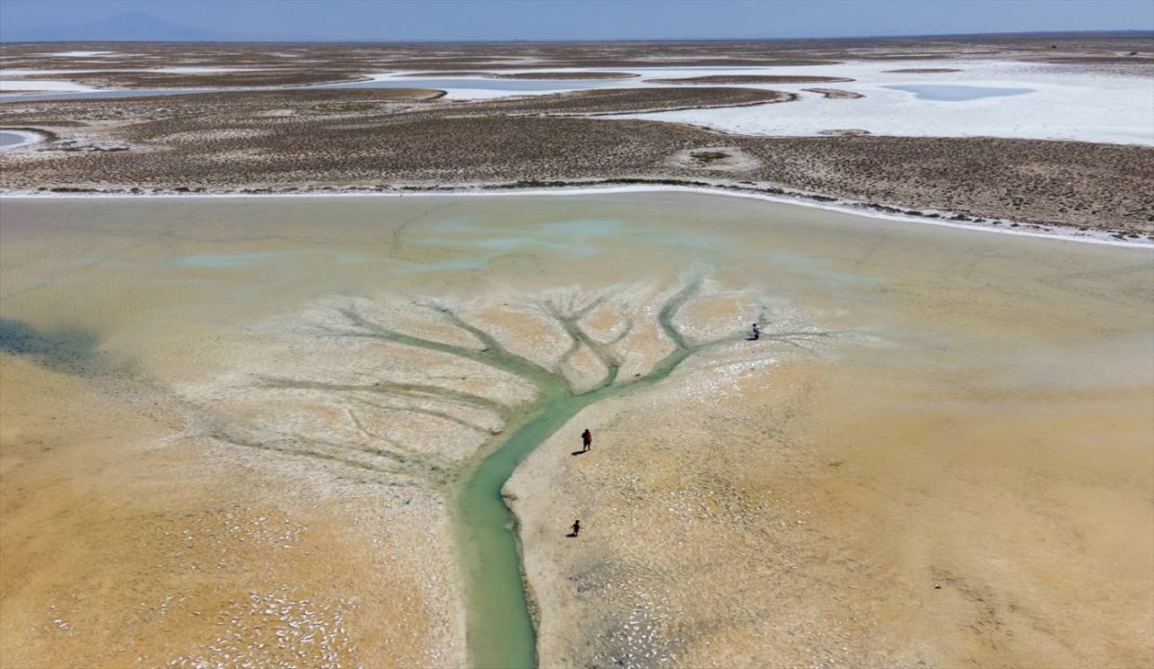 tuz-golunde-kuraklik-canlari-su-seviyesi-dustu-3.jpg