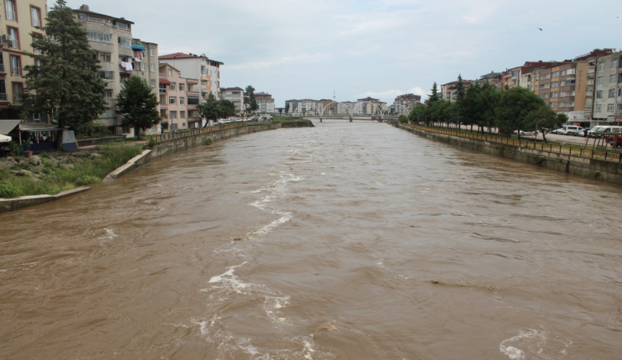 aa-picture-20240825-35481194-001.jpg