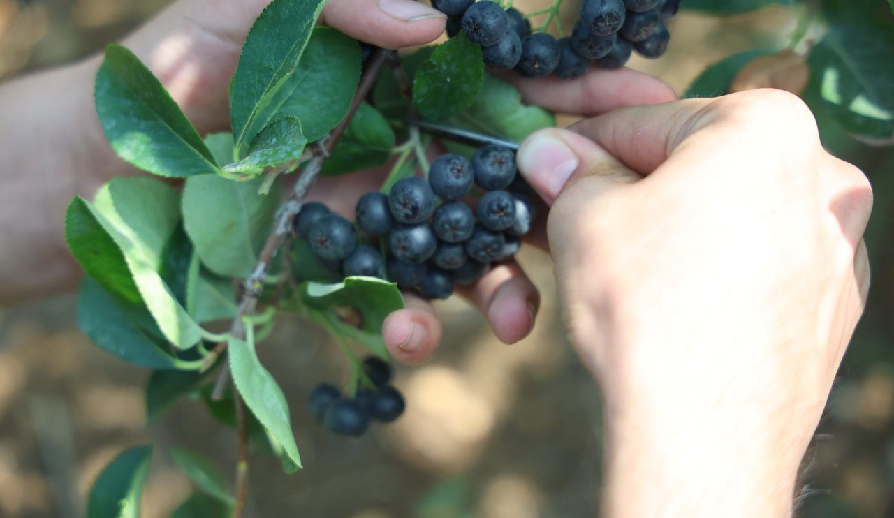 aw274439-08.jpg