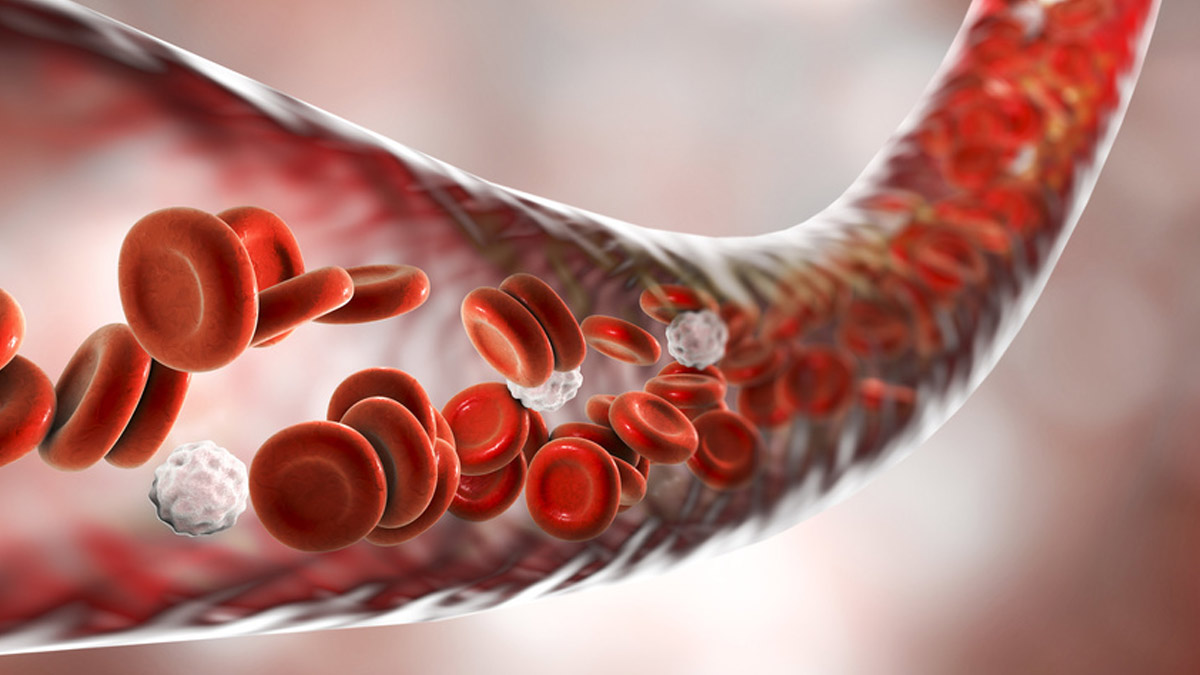 come-migliorare-la-circolazione-del-sangue.jpg