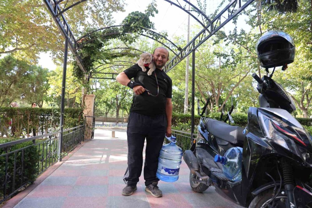 Tüpçünün motosiklet tutkunu kedisi