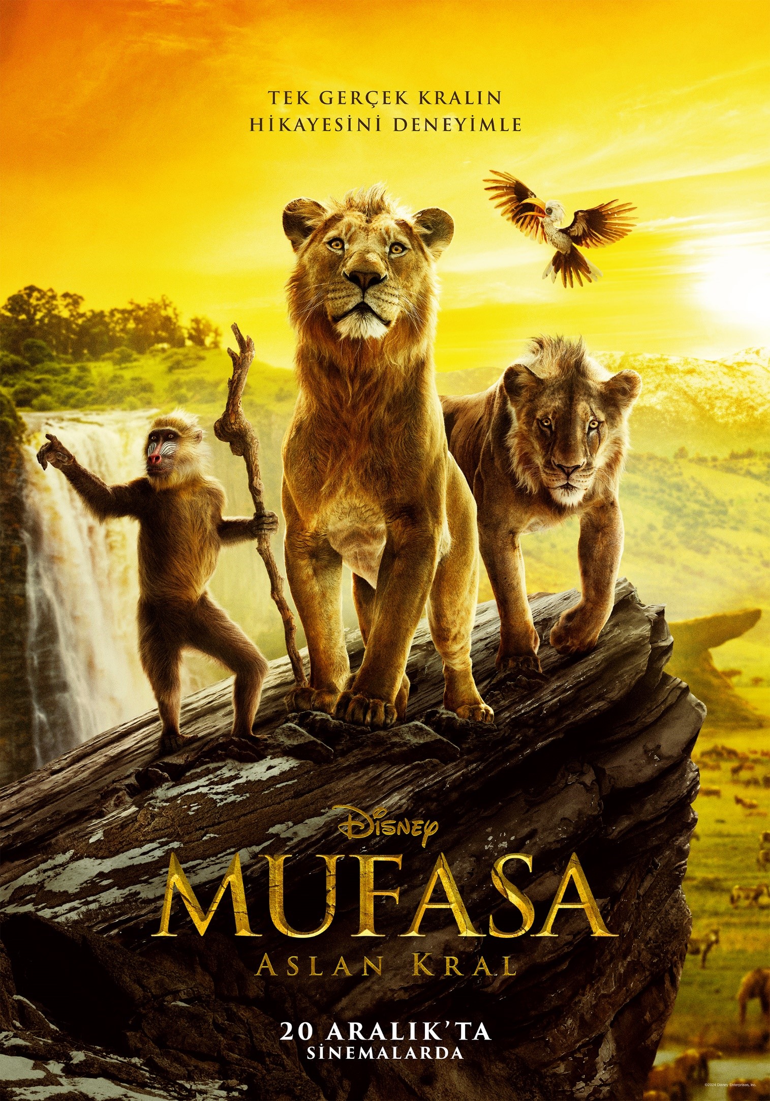 1734508789-mufasa-v3.jpg