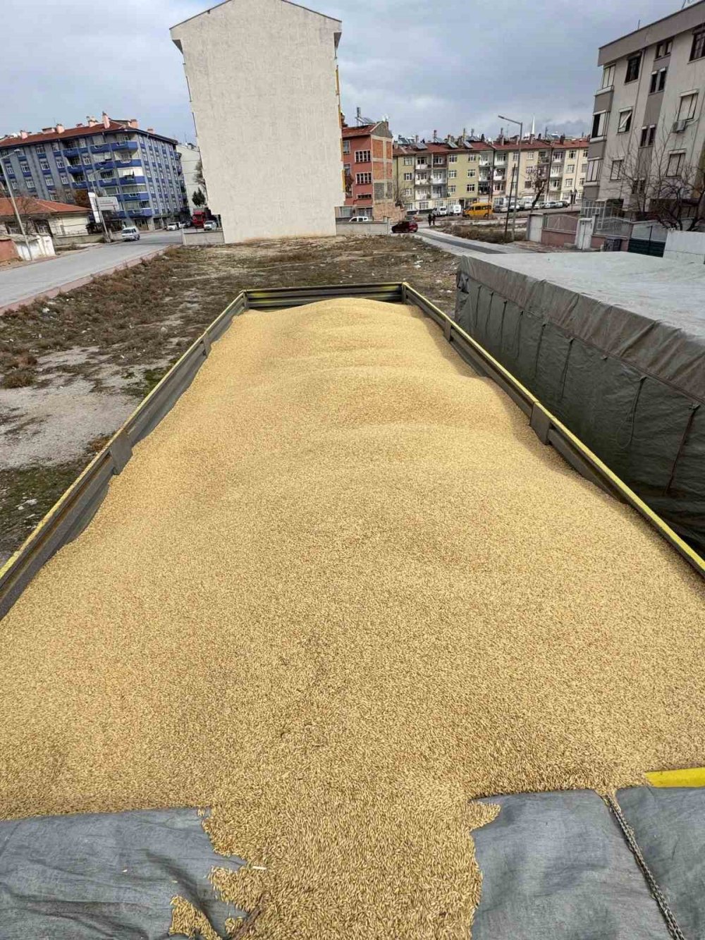 Konya’da böyle hırsızlık görülmesi!