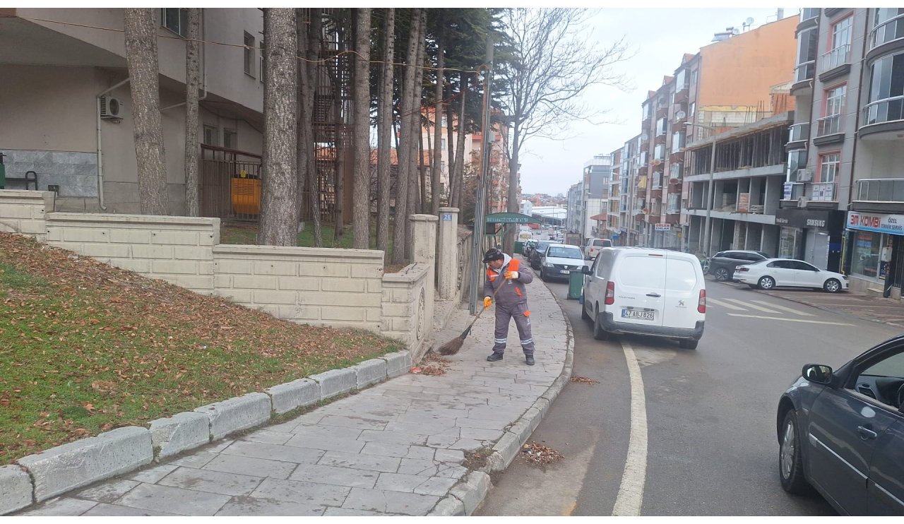 beysehirde-temizlik-seferberligi-9.jpeg