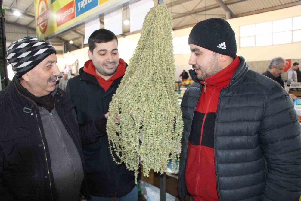 Konyalılar bu habere üzülecek! Bamya yemek mi oluyor?