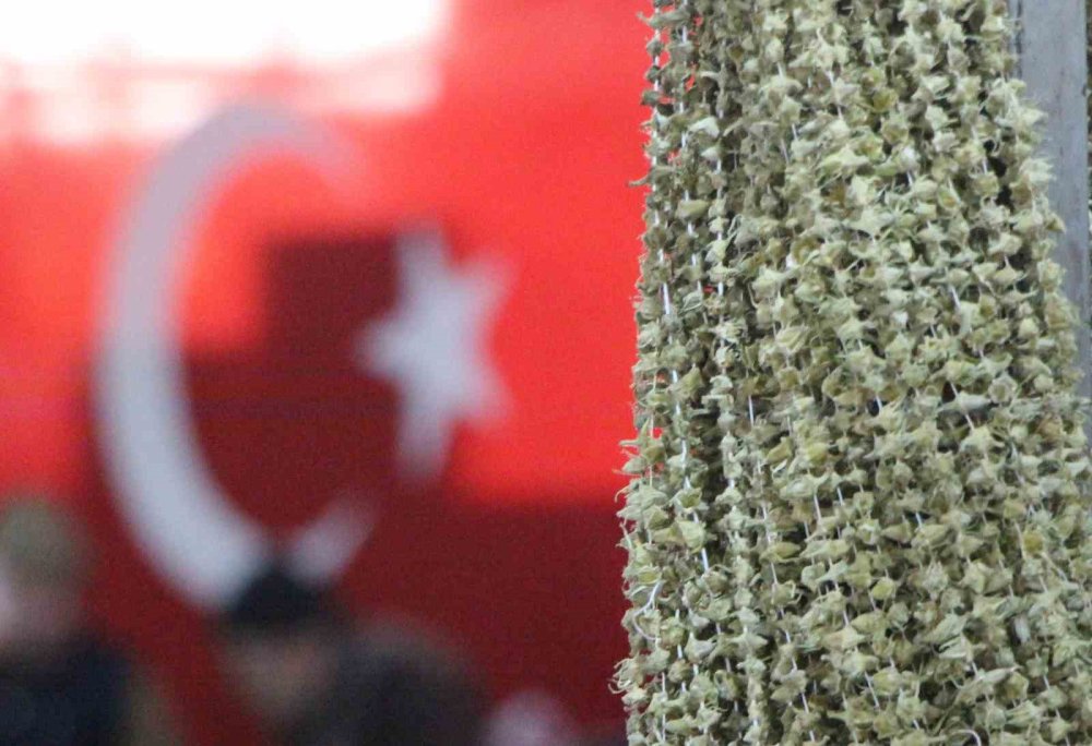 Konyalılar bu habere üzülecek! Bamya yemek mi oluyor?