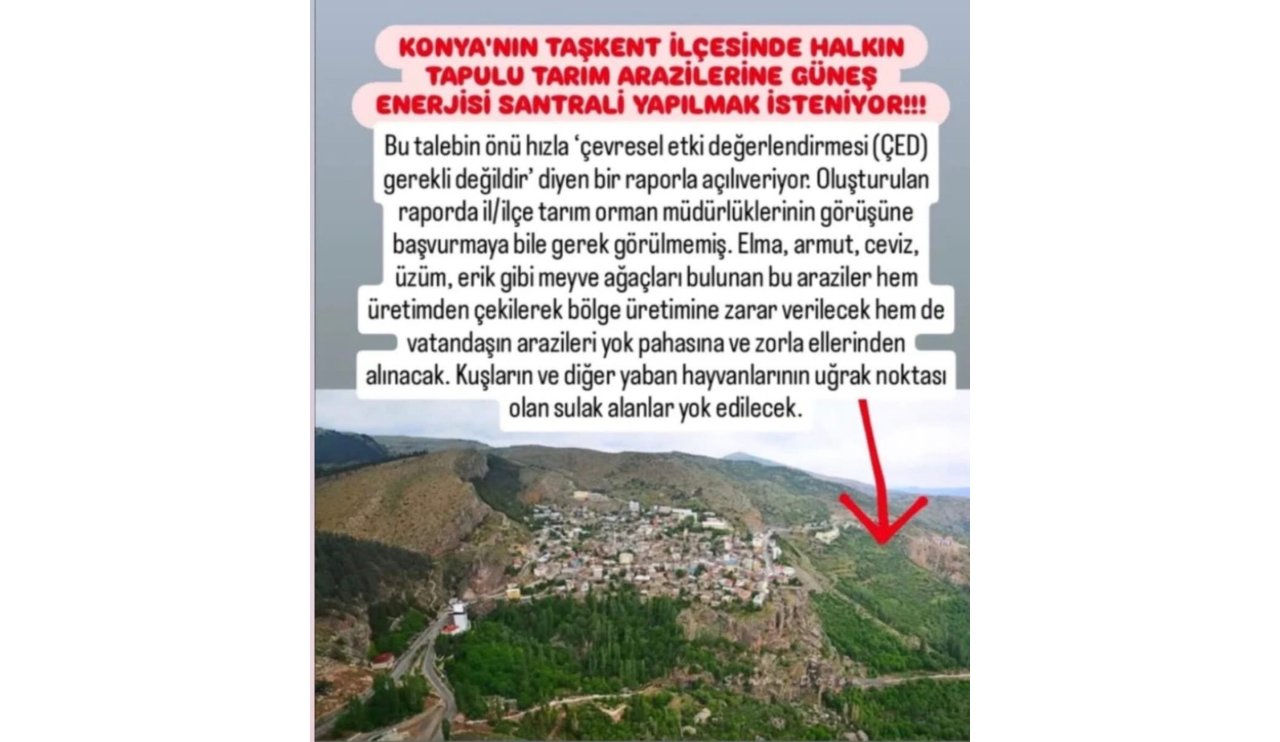 sosyal-medya-paylasimlari.jpeg