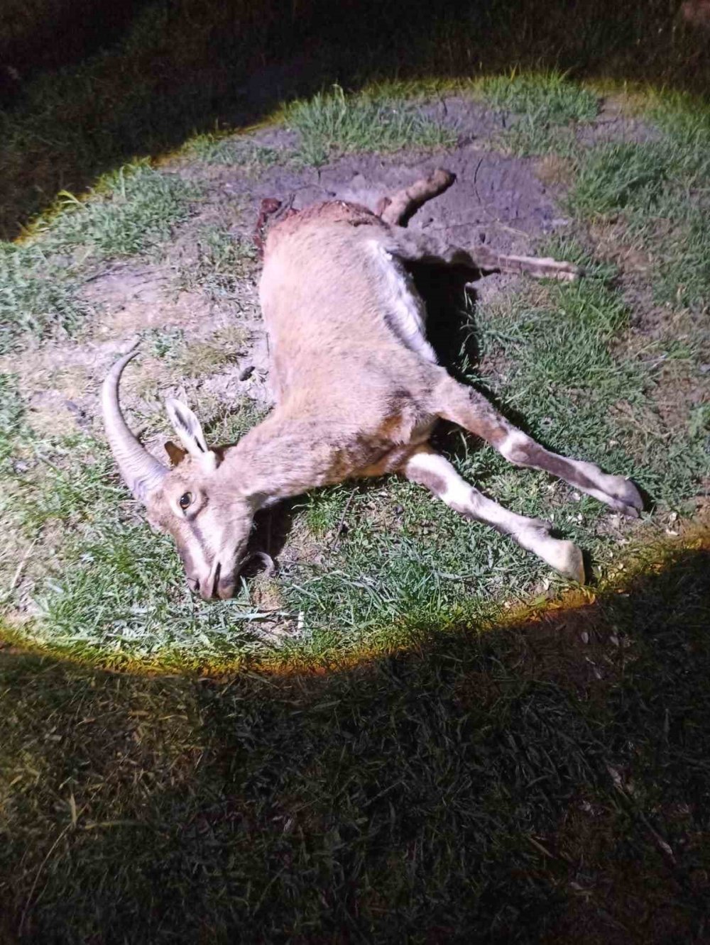 Konya’da skandal görüntü! Devlet affetmedi