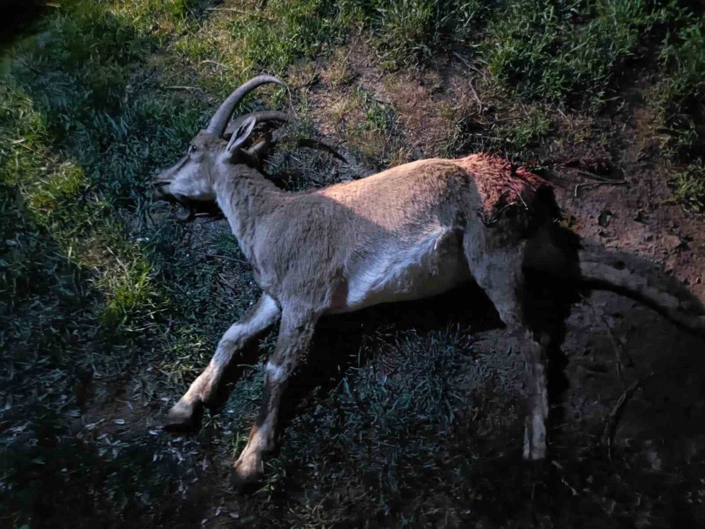 Konya’da skandal görüntü! Devlet affetmedi