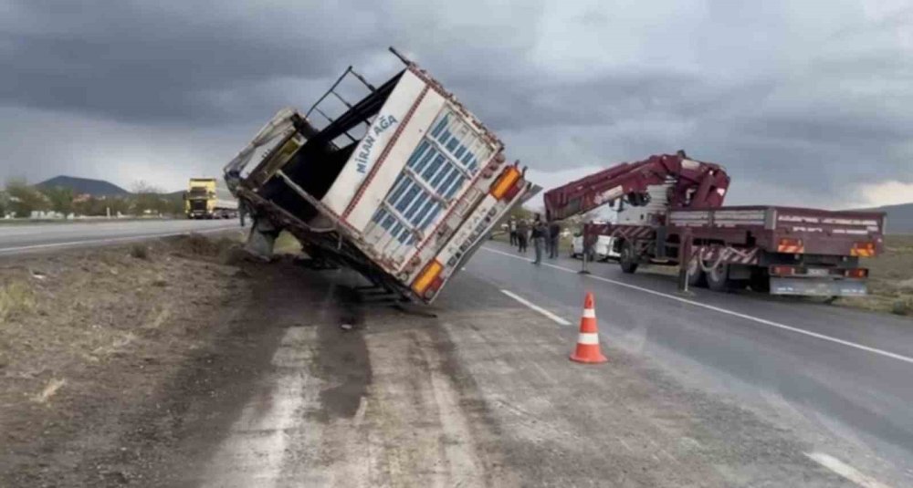 Konya’da garip olay! Tır devrildi, 29 angus kayboldu! Anguslar nerede merak konusu oldu