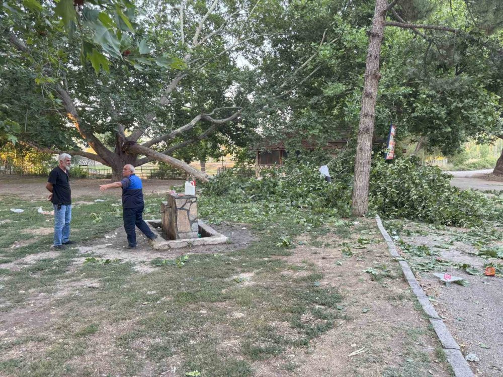 Konya’da piknik alanında dehşet! 11 yaralı